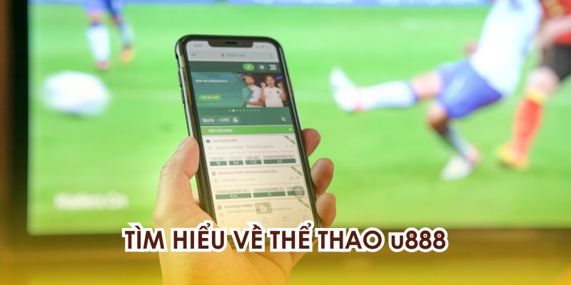 Tìm hiểu về cổng game thể thao u888