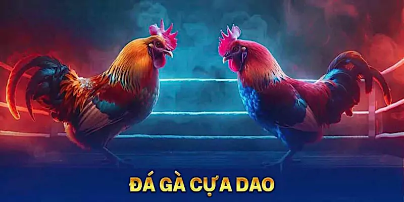 Tìm hiểu đá gà cựa dao u888